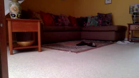 Snapshot of cumonherguys chatting on 11-06-25, 08:04 cumonherguys online show from 11-06-25, 08:04