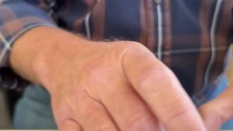 curio online show from 04-03-26, 08:29