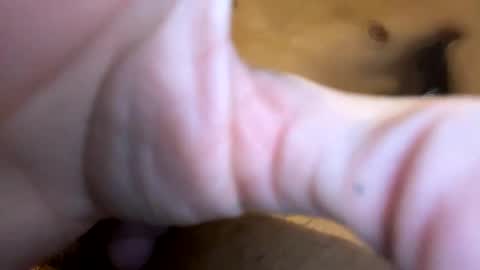 curvy24777 online show from 01-19-25, 03:50