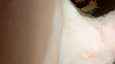 curvy24777 online show from 02-15-25, 07:06