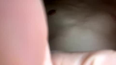 curvy24777 online show from 02-23-25, 07:44