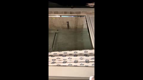 curvyd454066 online show from 09-26-25, 07:07