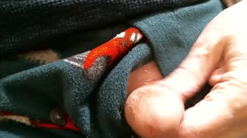 BI SMOOTH MATURE  SUB online show from 01-29-25, 02:10