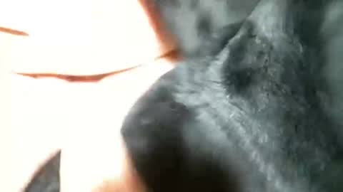 BI SMOOTH MATURE  SUB online show from 03-05-25, 11:27