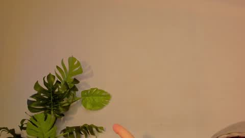 Stacy online show from 01-22-25, 03:31