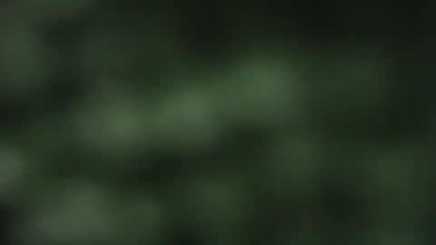 cuteeboy online show from 10-18-25, 08:09