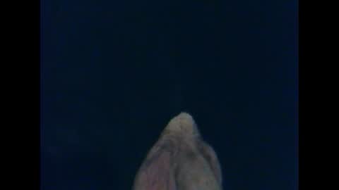 Snapshot of cutieguy86 chatting on 10-26-25, 01:33 CutieBoy online show from 10-26-25, 01:33