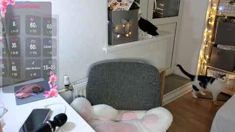 Alice  online show from 12-05-24, 02:11