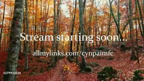 Cynpai online show from 09-29-25, 02:38