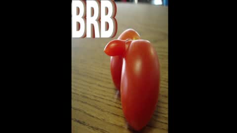 Dave online show from 04-15-26, 04:19