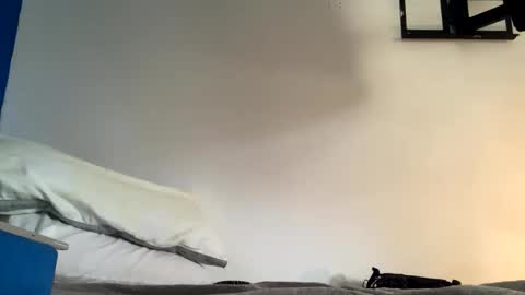 Jewbb online show from 02-05-26, 09:30