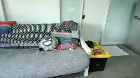 Snapshot of daddycache chatting on 10-27-25, 08:35 bas online show from 10-27-25, 08:35