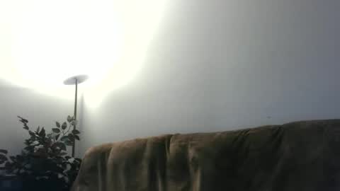 Snapshot of daddydave6400 chatting on 05-18-26, 03:46 daddydave6400 online show from 05-18-26, 03:46