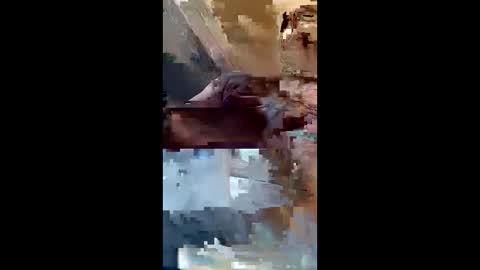 dadsfreedickrides online show from 06-04-26, 09:15