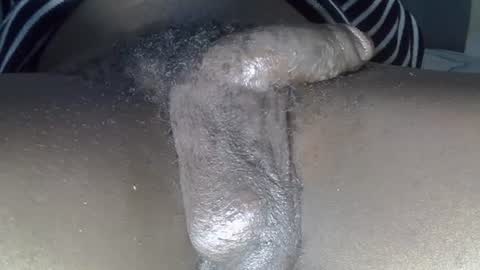 Snapshot of dadyschlong chatting on 06-19-26, 03:00 GIANT Lamar 72 ft tall with a 10 inches BBC hard quick cumshot in private show lets go online show from 06-19-26, 03:00