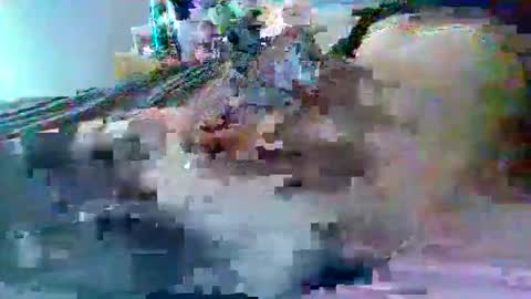 dafo1980 online show from 02-22-26, 02:59