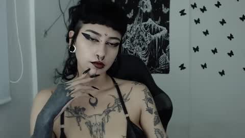 Snapshot of dakota_krall_ chatting on 01-29-25, 04:47 dakota online show from 01-29-25, 04:47