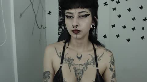 Snapshot of dakota_krall_ chatting on 02-13-25, 05:48 dakota online show from 02-13-25, 05:48