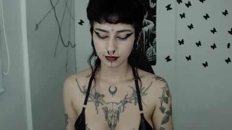 Snapshot of dakota_krall_ chatting on 02-15-25, 05:51 dakota online show from 02-15-25, 05:51