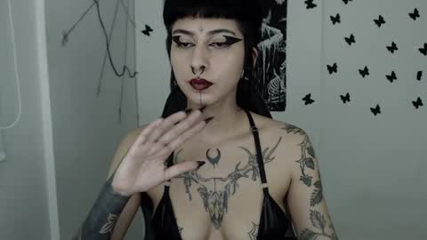 Snapshot of dakota_krall_ chatting on 02-26-25, 06:37 dakota online show from 02-26-25, 06:37