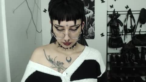 Snapshot of dakota_krall_ chatting on 10-29-25, 04:04 dakota online show from 10-29-25, 04:04