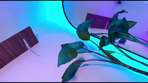 Snapshot of dalila_thoms chatting on 11-08-25, 10:48 Dalila online show from 11-08-25, 10:48