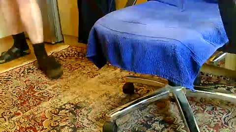 Dammerl online show from 12-11-24, 01:06