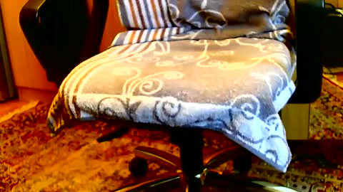 Dammerl online show from 01-15-25, 08:20