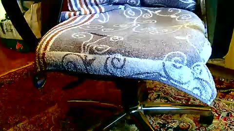 Dammerl online show from 01-23-25, 01:24