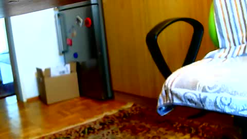 Dammerl online show from 02-03-25, 07:40