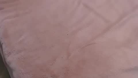 Snapshot of danadjuani chatting on 01-11-25, 09:57 Danna Lovense is activeThere are legends that in this room all your wishes can come true Private is Open online show from 01-11-25, 09:57