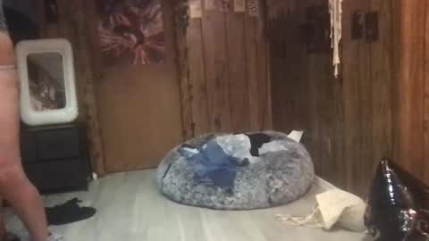 DanaMaris666 online show from 09-25-25, 07:28