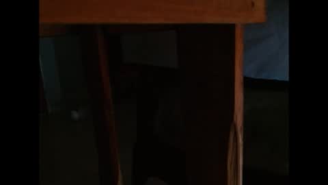 dangerhook online show from 11-24-25, 11:32