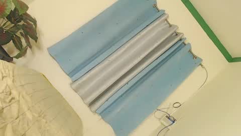 Nica online show from 01-16-25, 02:51