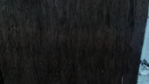 Nica online show from 10-02-25, 08:54