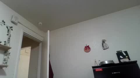 Dani online show from 02-24-25, 01:53