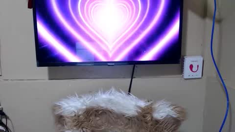 Danica online show from 05-15-26, 11:34