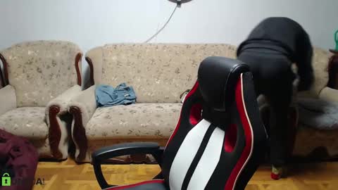 Snapshot of daniel_padalecki chatting on 02-09-25, 05:11 Daniel online show from 02-09-25, 05:11