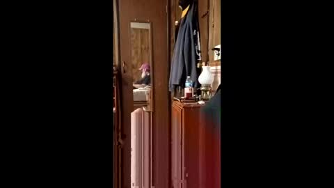 danielgilligan586677889 online show from 04-19-26, 02:55