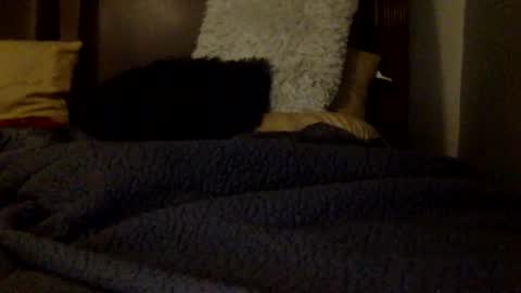daniellbisous online show from 07-01-26, 05:31
