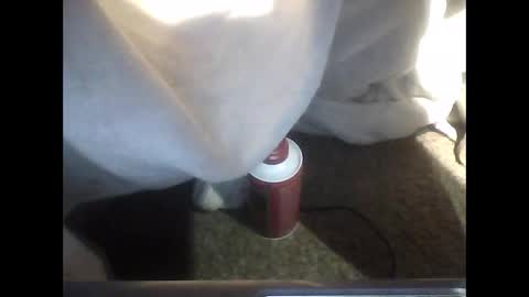 Snapshot of dankosy747996 chatting on 12-19-25, 03:57 TheDude online show from 12-19-25, 03:57