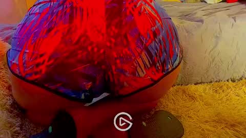 dandeb online show from 01-26-25, 08:45