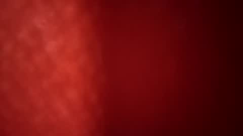 Snapshot of dankshepp chatting on 06-19-26, 11:58 dandeb online show from 06-19-26, 11:58
