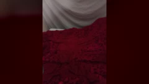 Snapshot of dankshepp chatting on 07-01-26, 11:04 dandeb online show from 07-01-26, 11:04