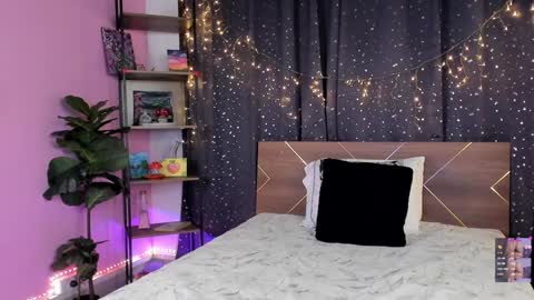 Snapshot of danna__castle chatting on 12-29-24, 08:00 Dannacastle online show from 12-29-24, 08:00