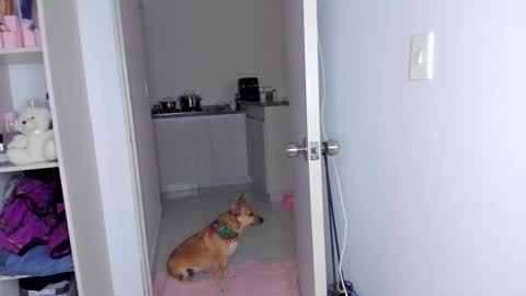 Snapshot of danna_rhodesx chatting on 11-30-25, 06:17 Danna Rhodes online show from 11-30-25, 06:17