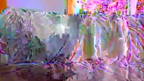 Snapshot of danwick69 chatting on 09-17-25, 11:45 danwick69 online show from 09-17-25, 11:45