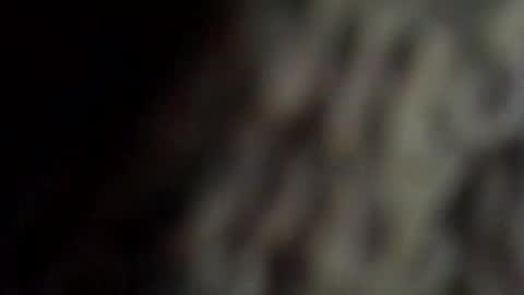 Snapshot of danys69 chatting on 10-11-25, 08:18 danys69 online show from 10-11-25, 08:18