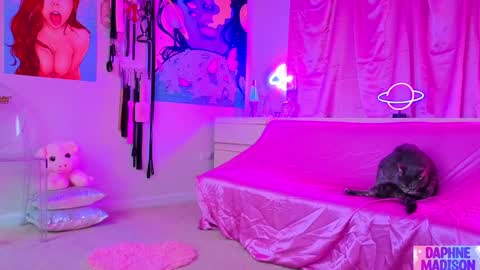 Daphne Madison online show from 02-10-26, 10:14