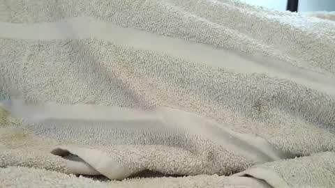 dapppper online show from 09-18-25, 06:10